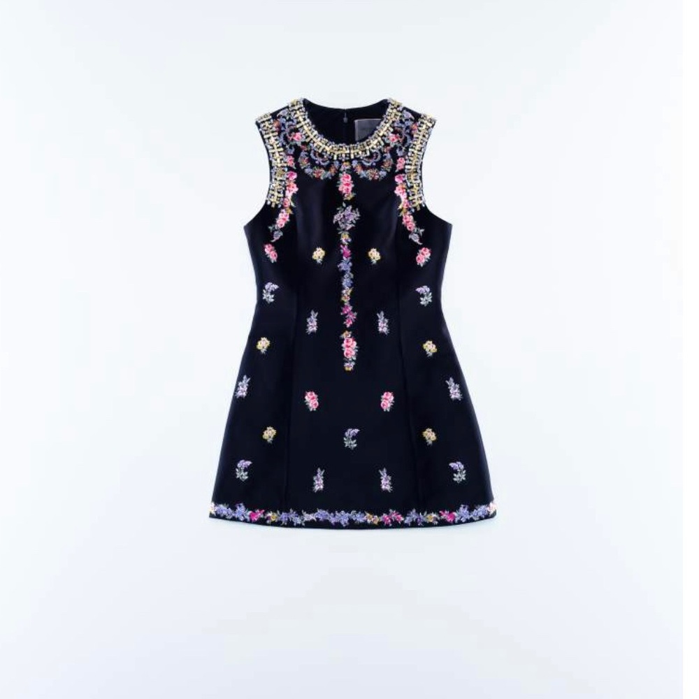 Giambattista Valli x H&M Dress with embroidery